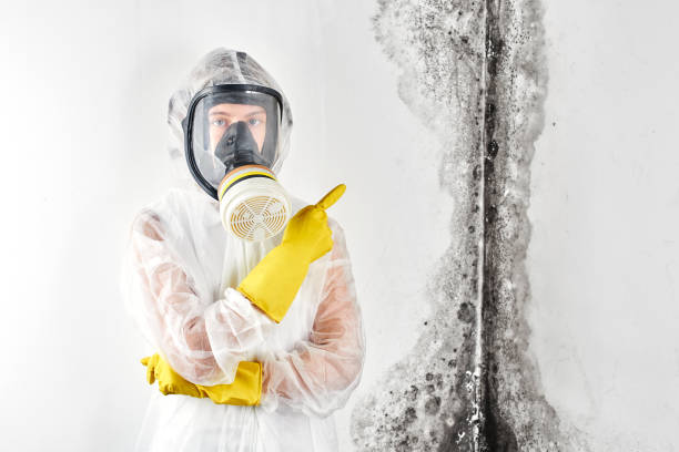 Best Forensic Mold Investigation  in Tucker, GA