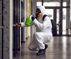 Mold Remediation for Rental Properties in Tucker, GA